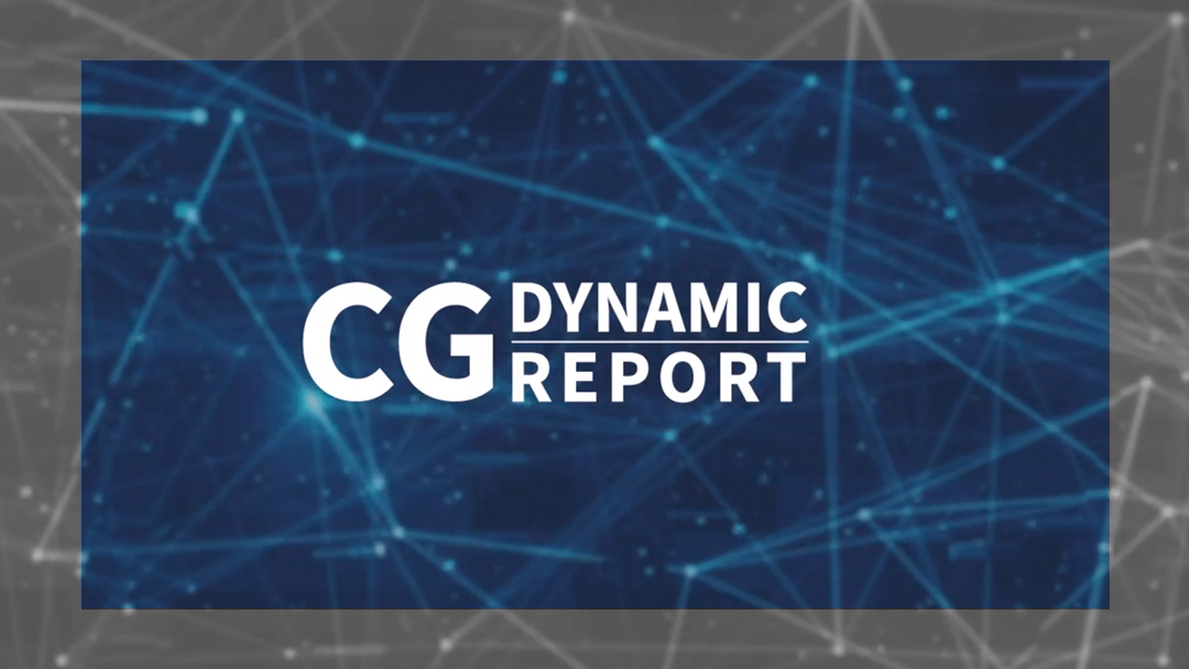 CG Dynamic Report